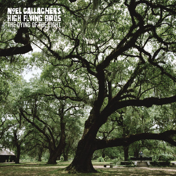 Noel Gallagher's High Flying Birds - The Dying Of The Light