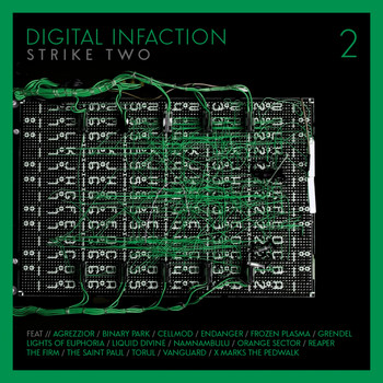 Various Artists - Digital Infaction Strike 2