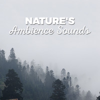 Ambient Nature Sounds - Nature's Ambience Sounds