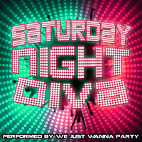 We Just Wanna Party - Saturday Night Diva