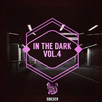 Various Artists - In the Dark, Vol. 4