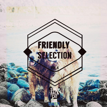 Various Artists - Friendly Selection, Vol. 4
