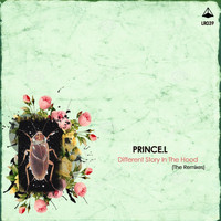 Prince.L - Different Story In The Hood The Remixes