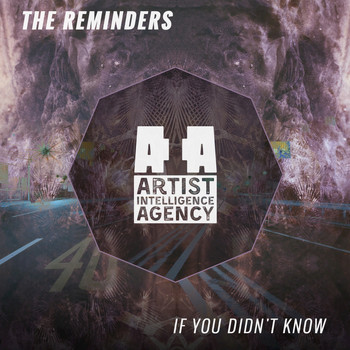 The Reminders - If You Didn't Know - Single