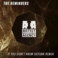 The Reminders - If You Didn't Know - Single