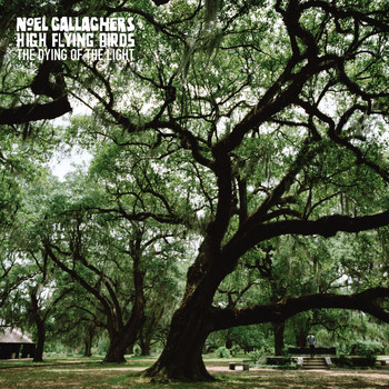 Noel Gallagher's High Flying Birds - The Dying of the Light