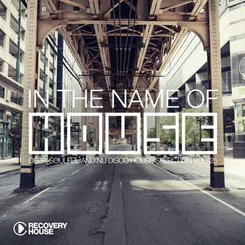 Various Artists - In the Name of House #25