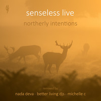 Senseless Live - Northerly Intentions