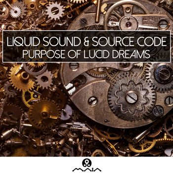 Liquid Sound, Source Code - Purpose of Lucid Dreams