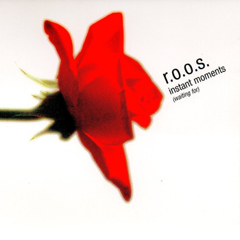 R.O.O.S. - Instant Moments