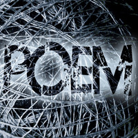 Poem - Passive Observer