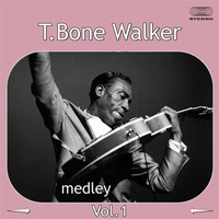 T-Bone Walker - T-Bone Walker Medley 1: Travelin' Blues / I Miss You Baby /  Cold, Cold Feeling / Welcome Blues / Bye Bye Baby / I Got the Blues / You Don't Love Me / Here in the Dark