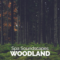 Ambient Nature Sounds - Spa Soundscapes: Woodland