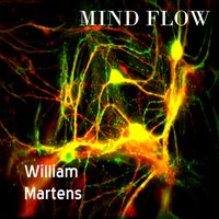 William Martens - Mind Flow