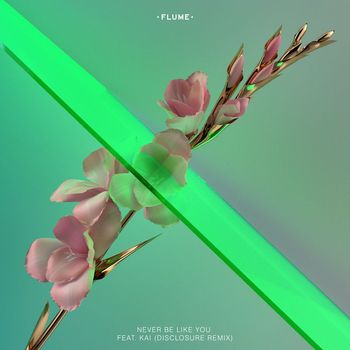 Flume feat. Kai - Never Be Like You (Disclosure Remix)