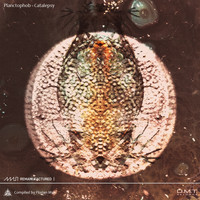 Planctophob - Catalepsy Lp - Remanufactured