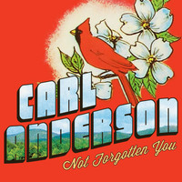 Carl Anderson - Not Forgotten You