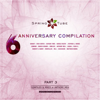 Anthony Mea - Spring Tube 6th Anniversary Compilation, Pt. 3 (Compiled and Mixed by Anthony Mea)