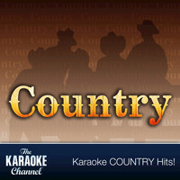 The Karaoke Channel - The Karaoke Channel - Country Hits of 1993, Vol. 3