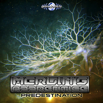 Merlin's Apprentice - Predestination