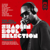 RZA - The RZA Presents Shaolin Soul Selection: Vol 1