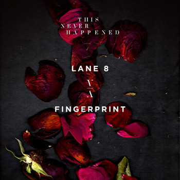 Lane 8 - Fingerprint