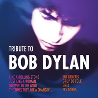 Grup de folk - Tribute To Bob Dylan