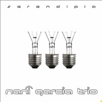 Nani García - Serendipia
