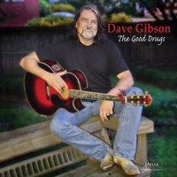 Dave Gibson - The Good Drugs