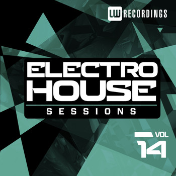 Various Artists - Electro House Sessions, Vol. 14