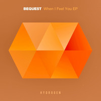 Bequest - When I Feel You