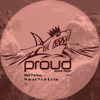 Neil Parkes - What You Doin