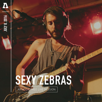 Sexy Zebras - Sexy Zebras on Audiotree Live