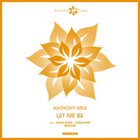 Anthony Mea - Let Me Be