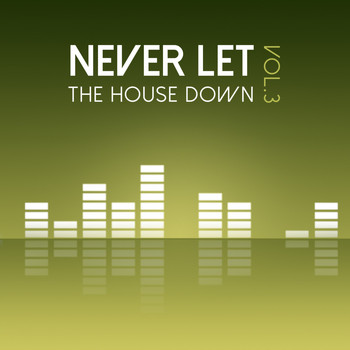Various Artists - Never Let the House Down, Vol. 3