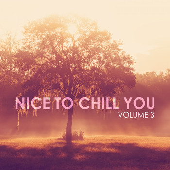 Various Artists - Nice to Chill You, Vol. 3