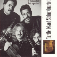 Turtle Island String Quartet - A Retrospective