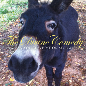 The Divine Comedy - How Can You Leave Me On My Own