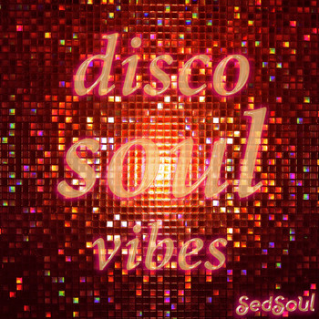 Various Artists - Disco Soul Vibes (Explicit)
