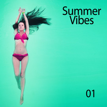 Various Artists - Summer Vibes, Vol. 01 (Explicit)