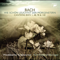 Windsbacher Knabenchor - Wie schön leuchtet der Morgenstern