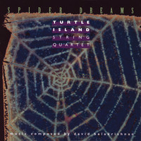 Turtle Island String Quartet - Spider Dreams