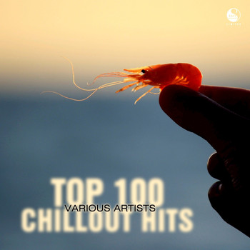 Various Artists - Top 100 Chillout Hits