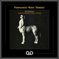 Permanent Wave - Horses