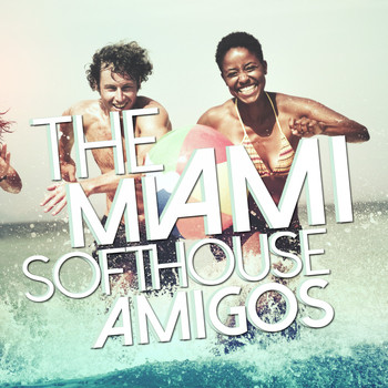 Various Artists - The Miami Softhouse Amigos