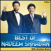 Nadeem - Shravan - Best of Nadeem Shravan (With Jhankar Beats)