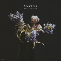 MOTSA - Petricolour