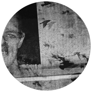 Sleeper - Seagulls