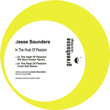Jesse Saunders - In the Heat of Passion