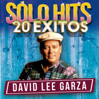David Lee Garza - Sólo Hits (20 Éxitos)